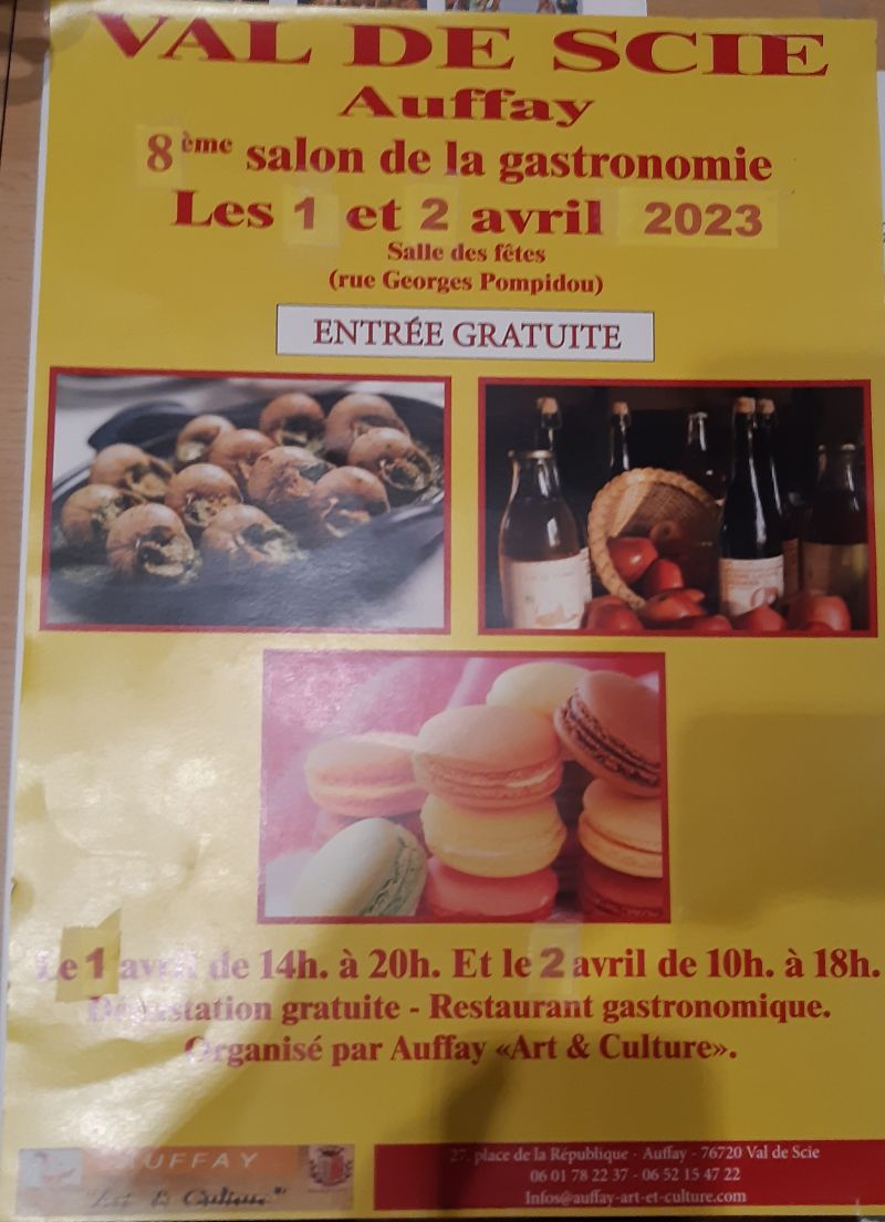 affiche du salon